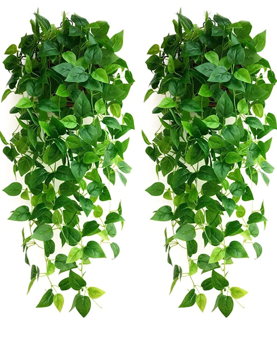 Ekhasa hanging greenery - Garden styling