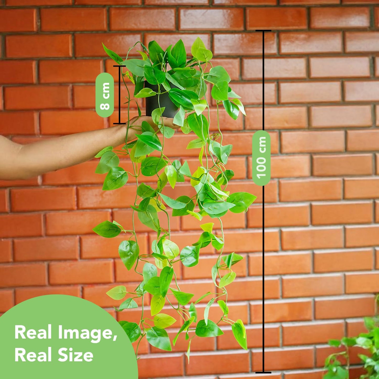 Ekhasa fake vines - Wedding decoration