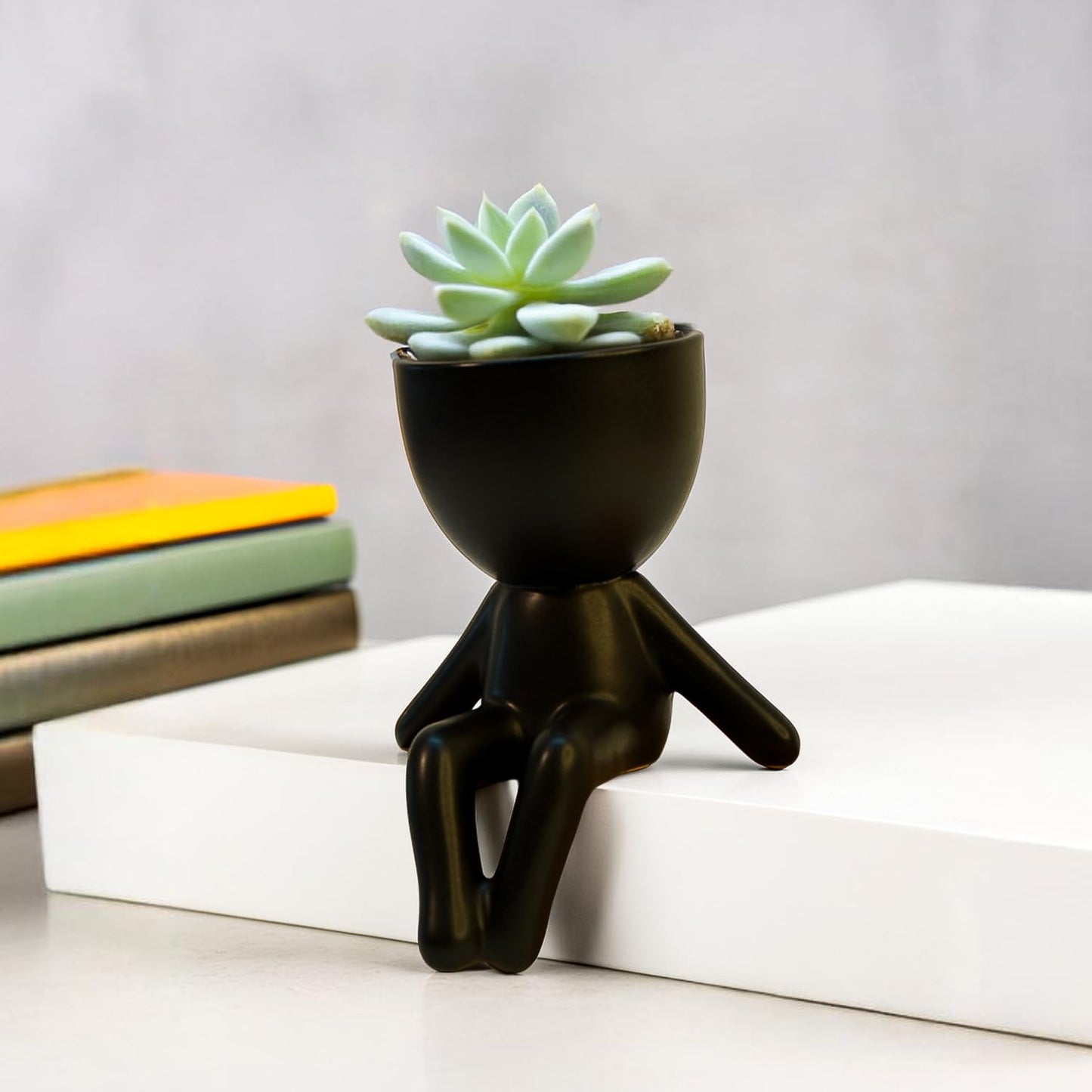 Ekhasa decorative planter set - gift for plant lovers