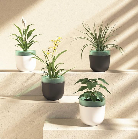 Maximizing Plant Health: Tips for Using Self-Watering Plant Pots Effectively