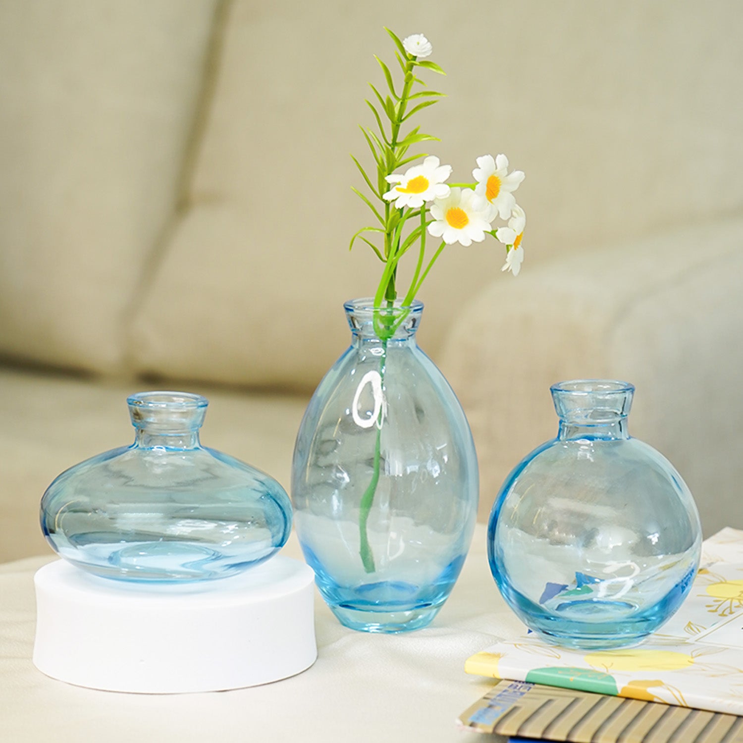 Glass Bud Vase Set for Home Decor, Indoor Plants & Table Decor