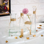 Glass Bud Vases Set of 5 for Home Decor & Gfting