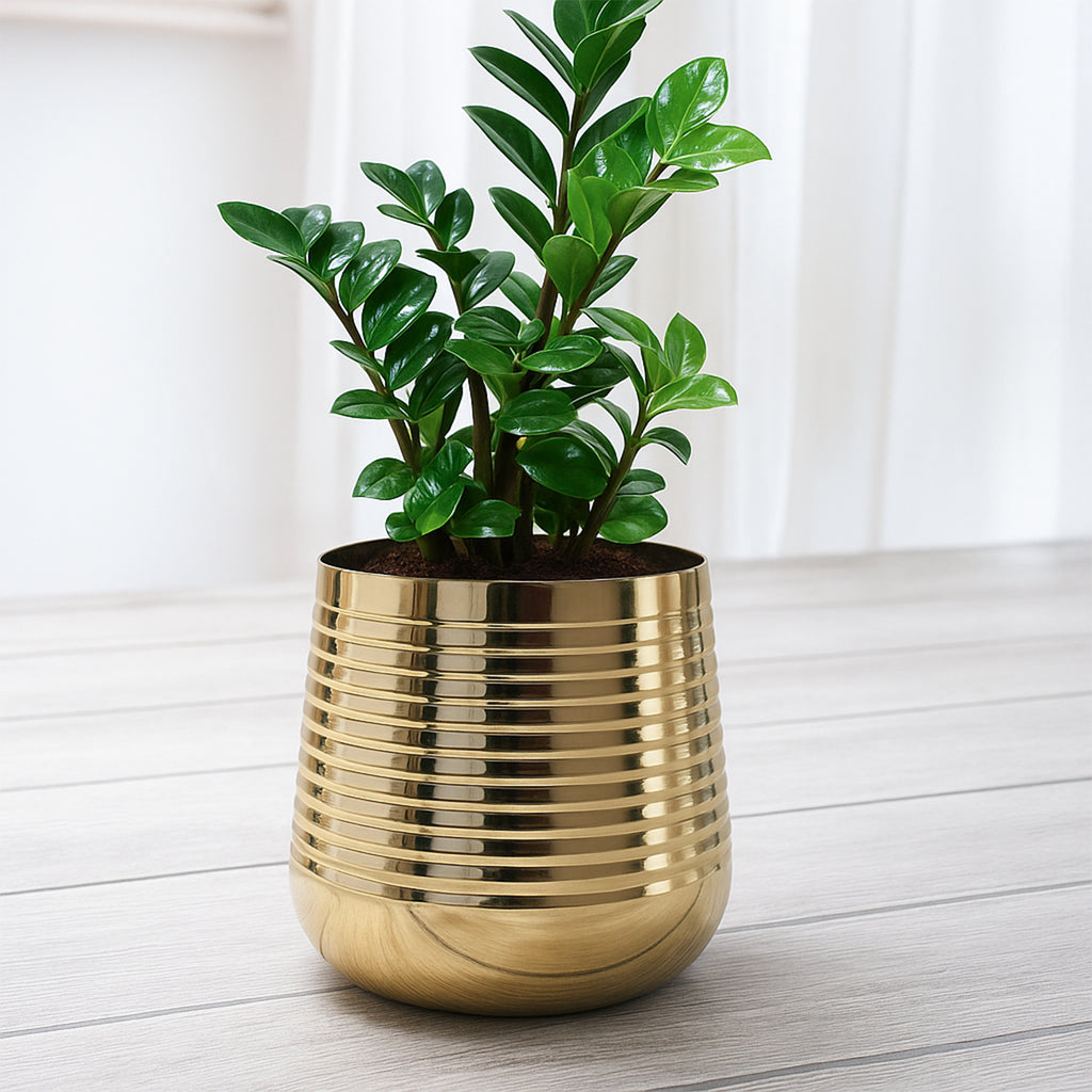 Gold Metal Planter for Indoor , Living Room & Office Decor