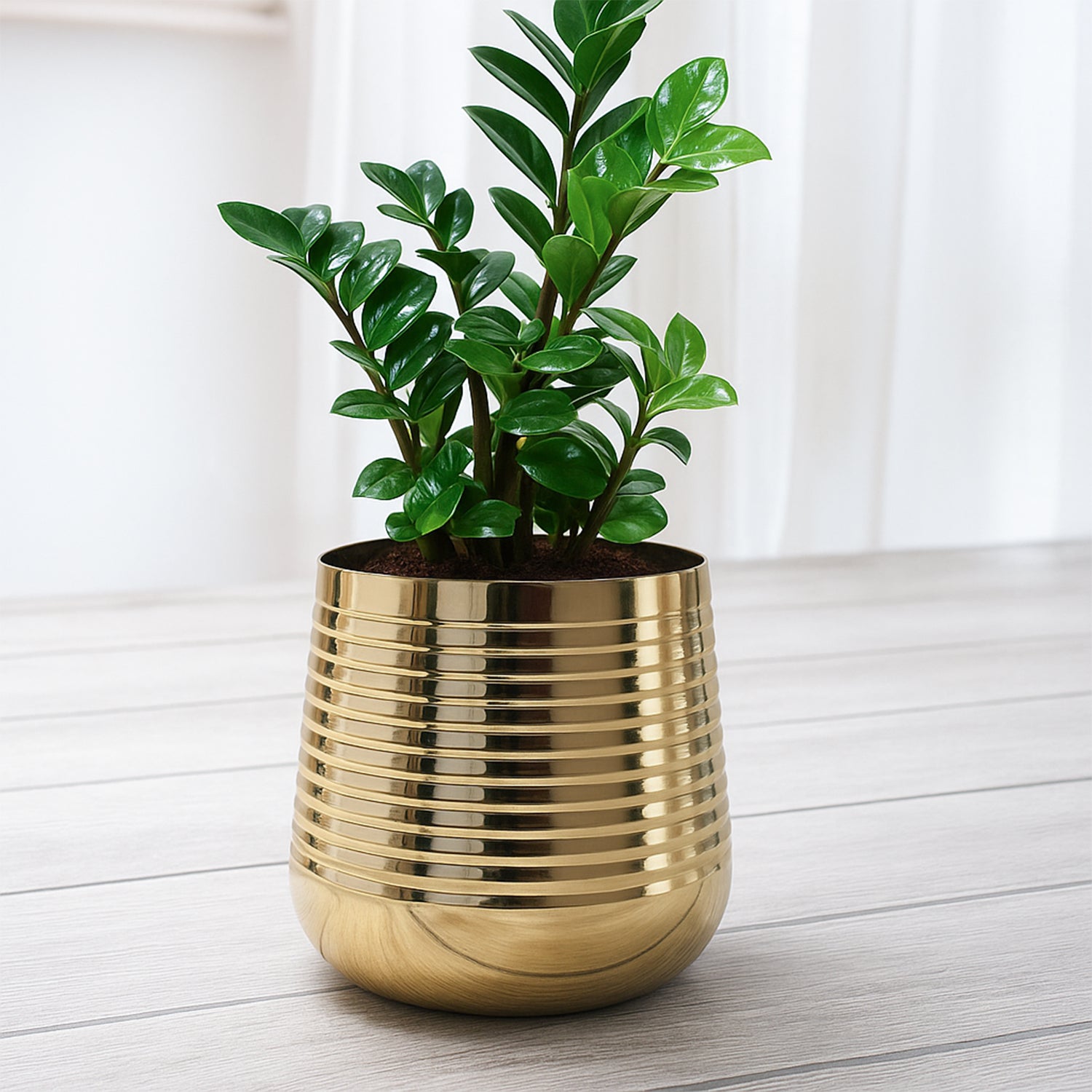 Gold Metal Planter for Indoor , Living Room & Office Decor