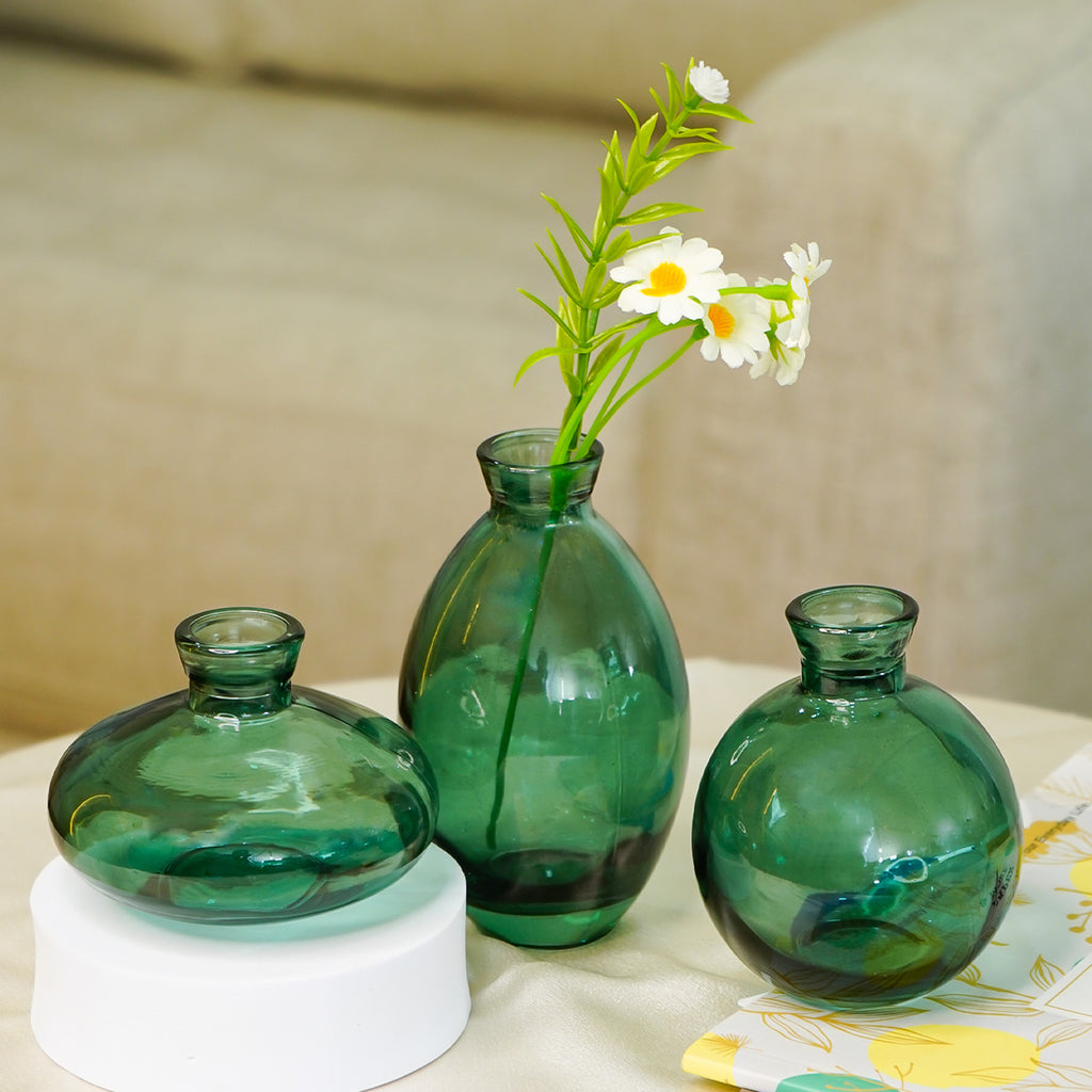 Glass Bud Vase Set for Home Decor, Indoor Plants & Table Decor