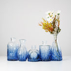 Glass Bud Vases Set of 5 for Home Decor , Table Decoration & Gifting