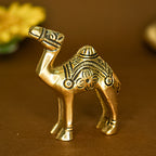 Pure Brass Camel Showpiece for Home, Office & Table Decor