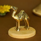 Pure Brass Camel Showpiece for Home, Office & Table Decor