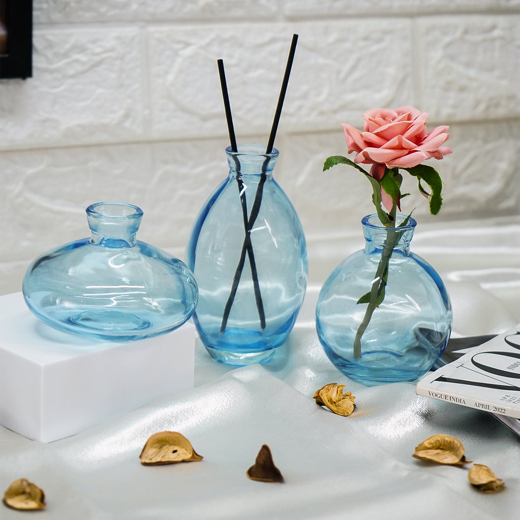 Glass Bud Vase Set for Home Decor, Indoor Plants & Table Decor
