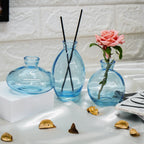 Glass Bud Vase Set for Home Decor, Indoor Plants & Table Decor