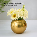 Metal Flower Vase for Home Decor, Living Room & Gifting