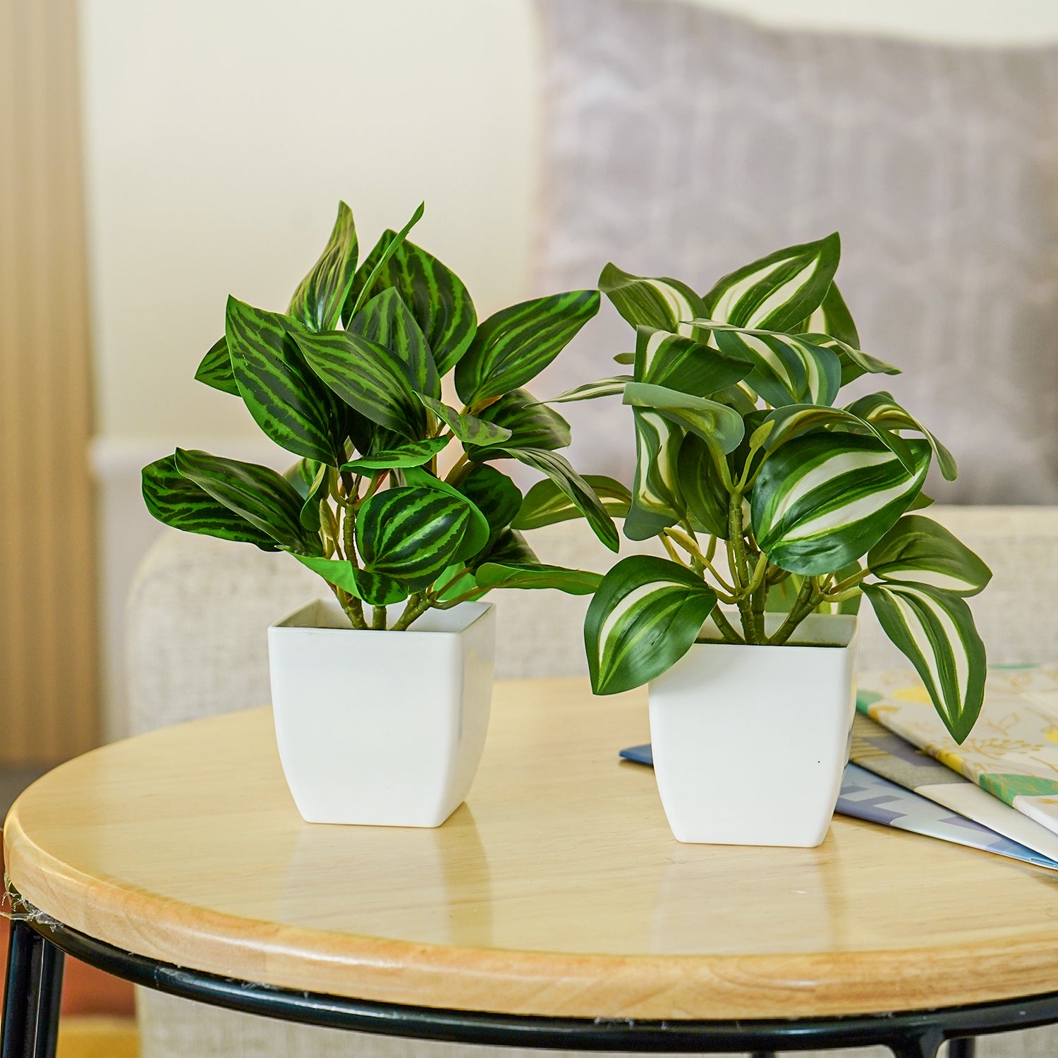 Artificial Green Dracaena Plants with Pots for Home & Office Decor (Set of 2)