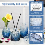 Glass Bud Vases Set of 5 for Home Decor , Table Decoration & Gifting
