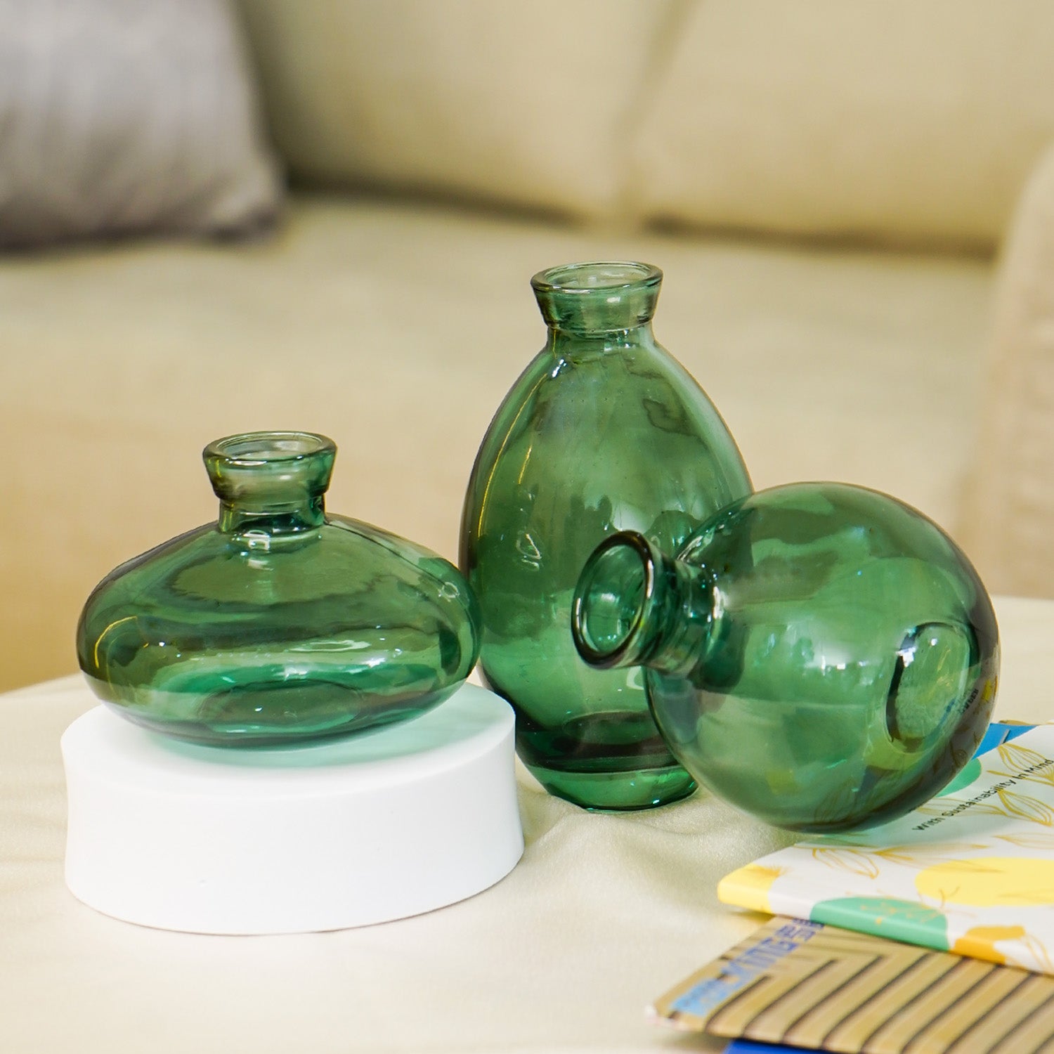 Glass Bud Vase Set for Home Decor, Indoor Plants & Table Decor