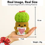 Crochet Cactus Plant with Message for Home Decor & Gifting