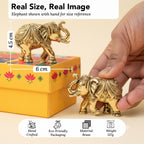 Brass Elephant Showpiece Pair with Gift Box for Housewarming, Wedding & Vastu Gifting