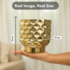 Gold Metal Planter for Indoor , Living Room & Office Decor