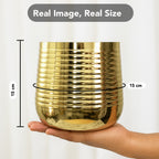 Gold Metal Planter for Indoor , Living Room & Office Decor