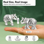999 Silver Plated Elephant Pair with Green Velvet Gift Box for Vastu, Housewarming & Wedding Gift