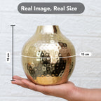 Metal Flower Vase for Home Decor, Living Room & Gifting