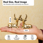 Brass Deer Showpiece Pair with Gift Box for Housewarming, Wedding & Gifting