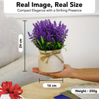 Lavender Artificial Flower with Pot for Home Decor, Office Table & Gifting
