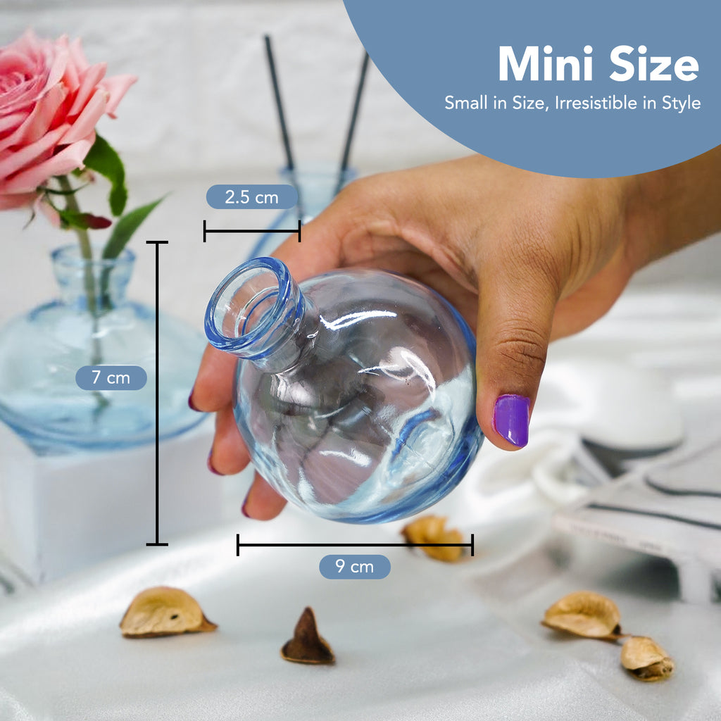 Glass Bud Vase Set for Home Decor, Indoor Plants & Table Decor