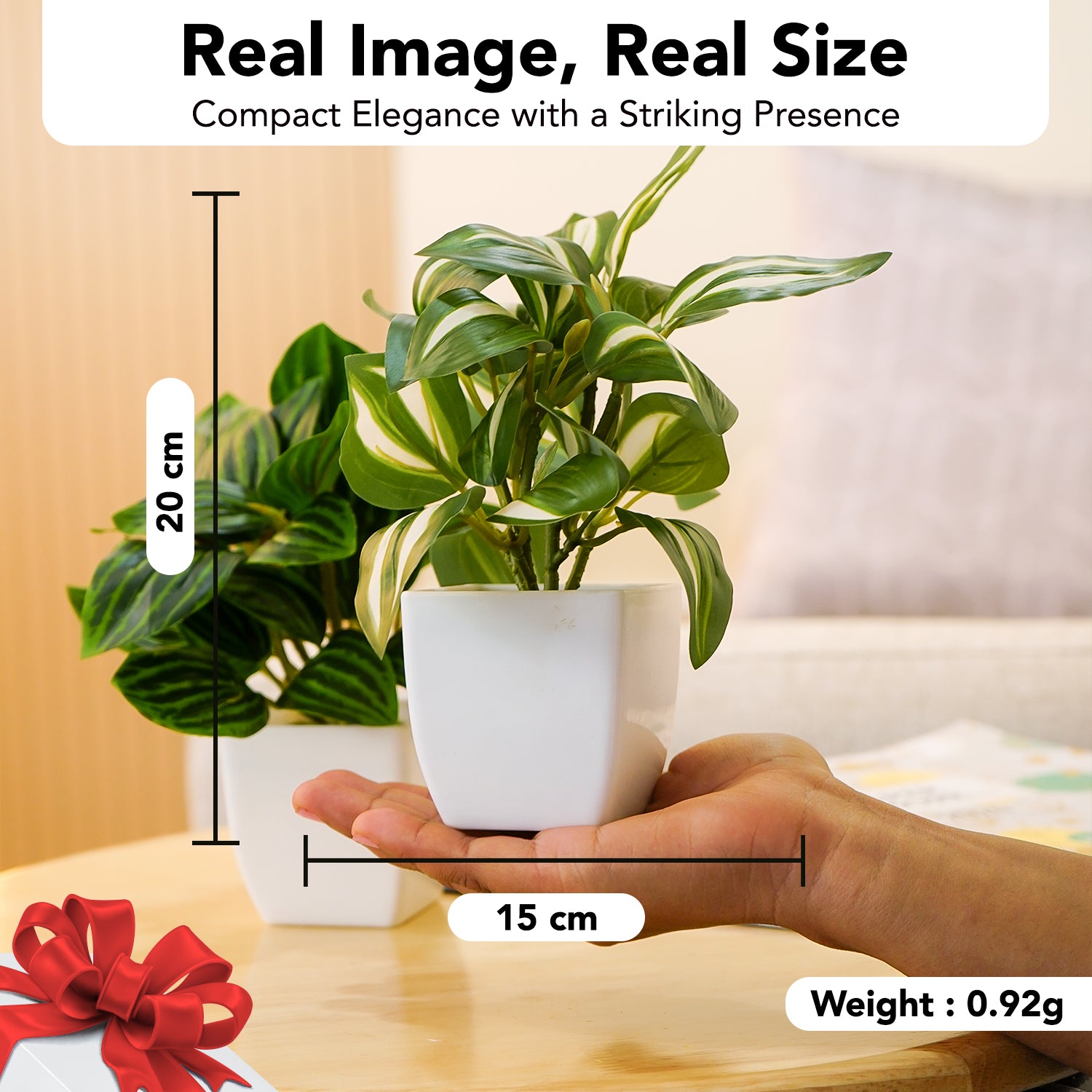 Artificial Green Dracaena Plants with Pots for Home & Office Decor (Set of 2)