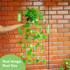 Golden Pothos Hanging Artificial Plants with Pot Set of 2 for Home Decor