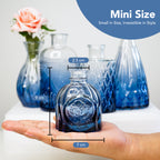Glass Bud Vases Set of 5 for Home Decor , Table Decoration & Gifting