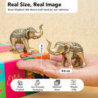 Brass Elephant Showpiece Pair with Gift Box for Housewarming, Wedding & Gifting