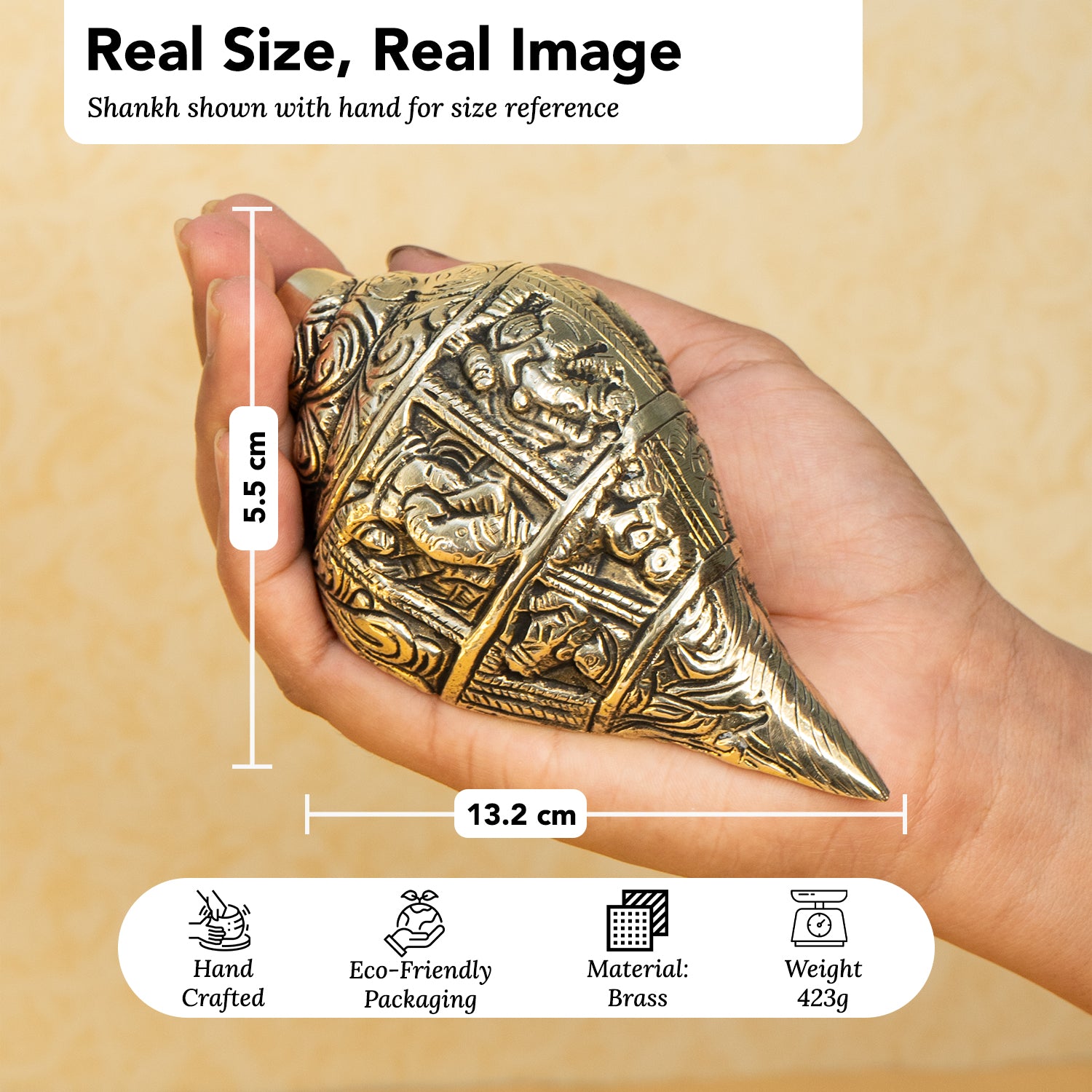 Brass Shankh Showpiece with Gift Box for Housewarming, Wedding & Gifting