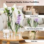 Cylindrical Glass Vase Set of 3 for Home Decor & Gifting