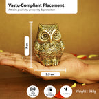 Brass Owl Showpiece for Home Decor, Office Decor & Vastu Display
