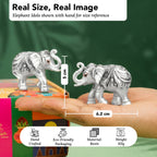 999 Pure Silver Plated Elephant Pair Showpiece with Gift Box for Housewarming, Wedding & Gifting
