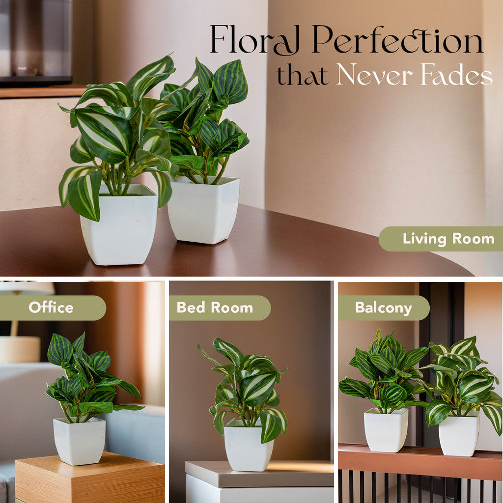 Artificial Green Dracaena Plants with Pots for Home & Office Decor (Set of 2)