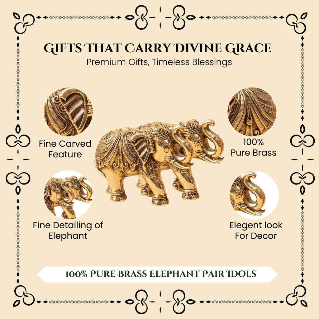Brass Elephant Showpiece Pair with Gift Box for Housewarming, Wedding & Vastu Gifting