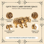 Brass Elephant Showpiece Pair with Gift Box for Housewarming, Wedding & Vastu Gifting