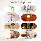 Cylindrical Glass Vase Set of 3 for Home Decor & Gifting