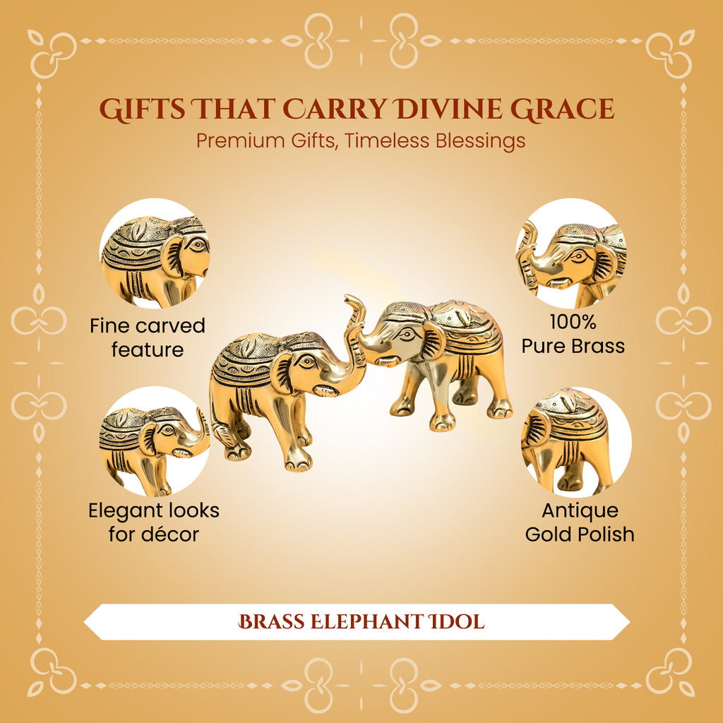 Brass Elephant Showpiece Pair with Gift Box for Housewarming, Wedding & Gifting