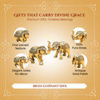 Brass Elephant Showpiece Pair with Gift Box for Housewarming, Wedding & Gifting