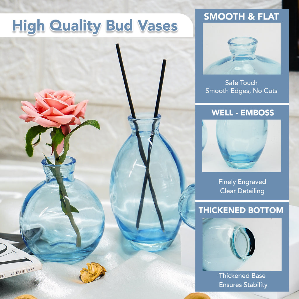 Glass Bud Vase Set for Home Decor, Indoor Plants & Table Decor
