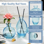 Glass Bud Vase Set for Home Decor, Indoor Plants & Table Decor