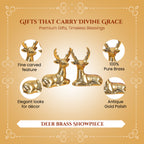 Brass Deer Showpiece Pair with Gift Box for Housewarming, Wedding & Gifting
