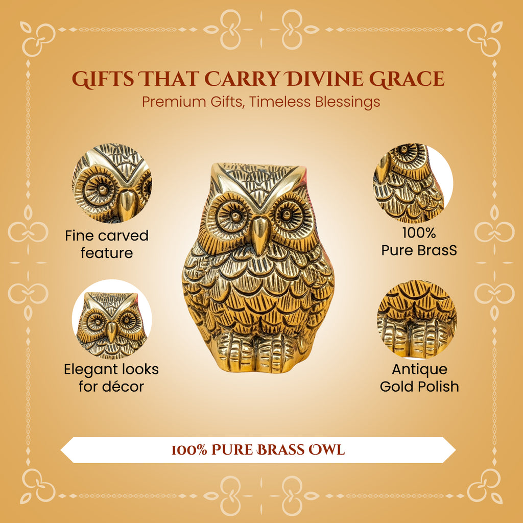 Brass Owl Showpiece with Gift Box for Housewarming, Wedding & Gifting