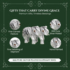 999 Silver Plated Elephant Pair with Green Velvet Gift Box for Vastu, Housewarming & Wedding Gift