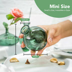 Glass Bud Vase Set for Home Decor, Indoor Plants & Table Decor