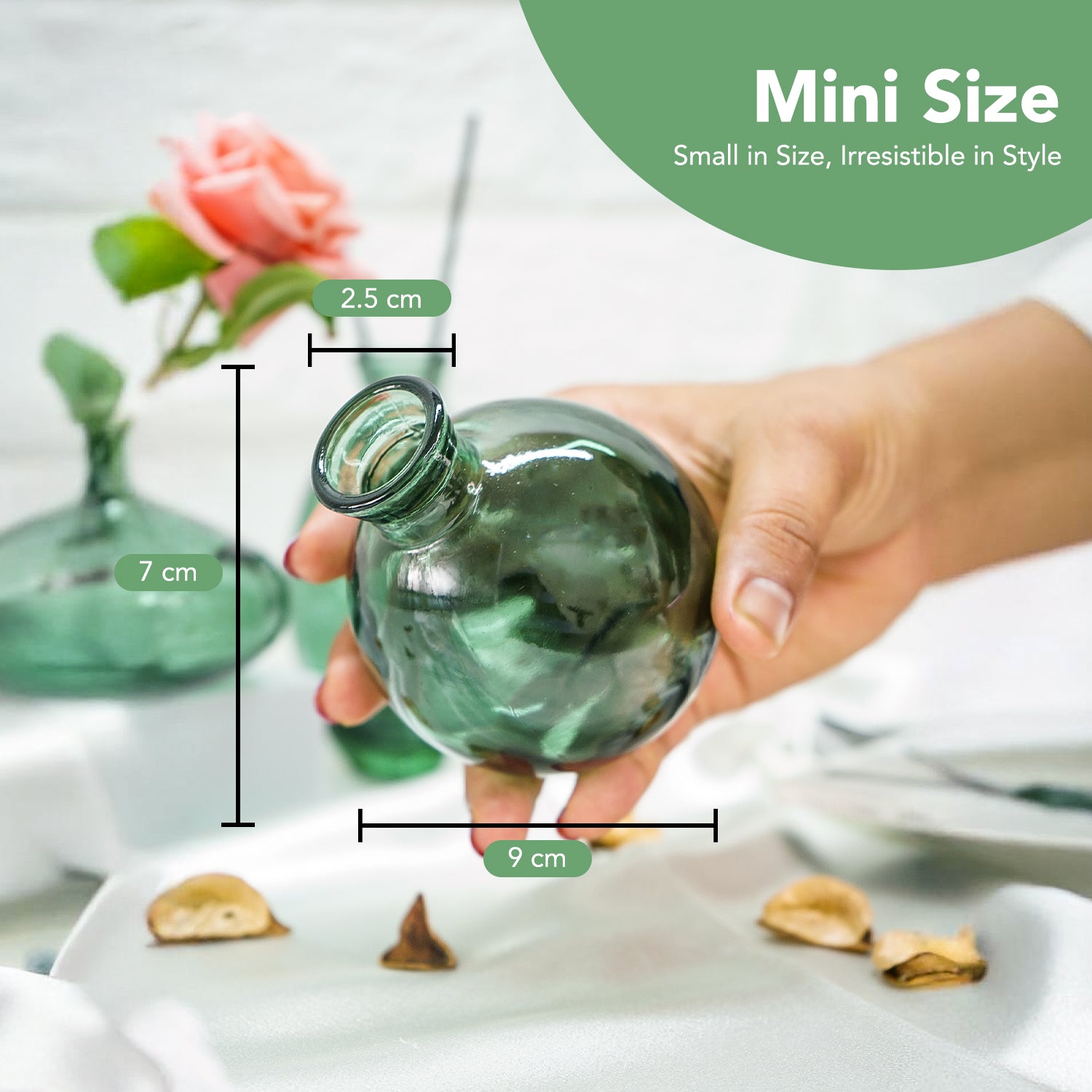 Glass Bud Vase Set for Home Decor, Indoor Plants & Table Decor