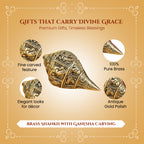 Brass Shankh Showpiece with Gift Box for Housewarming, Wedding & Gifting