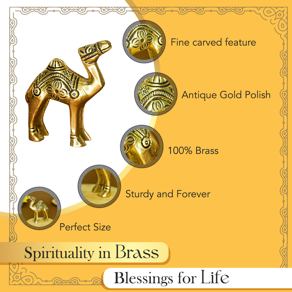 Pure Brass Camel Showpiece for Home, Office & Table Decor